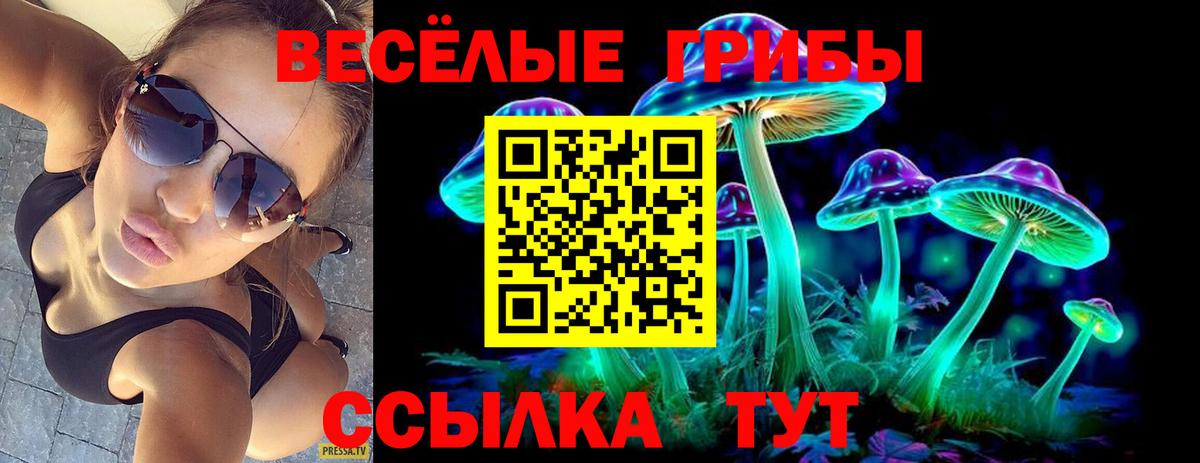 Галлюциногенные грибы прущие грибы  Вход с VPN  Аргун  Галлюциногенные грибы прущие грибы 