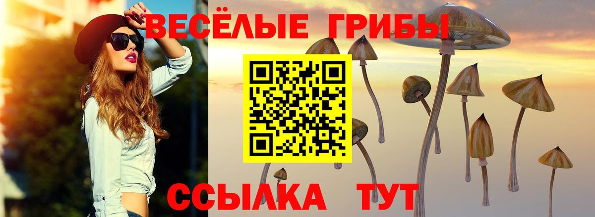 Галлюциногенные грибы Magic Shrooms Аргун